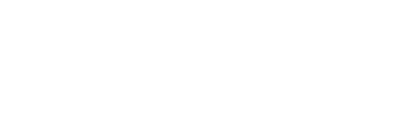 adeptaudio